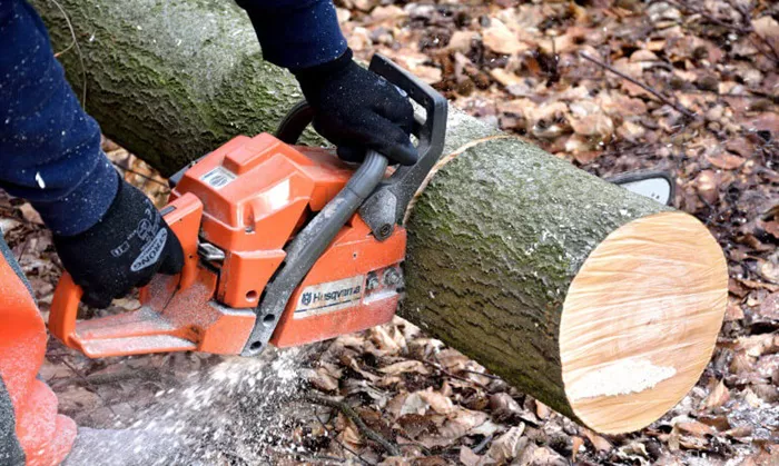 STIHL Chainsaws