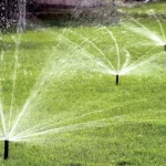 Sprinkler System