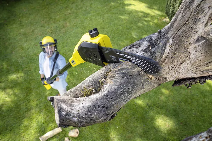 cordless pole saw