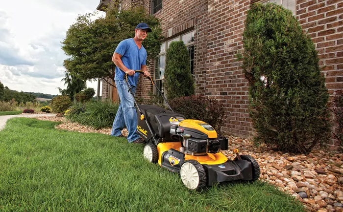 cub cadet push mower