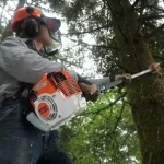 gas powered pole saw