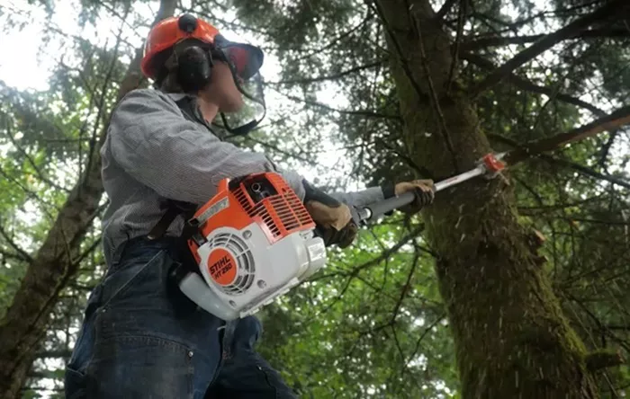 gas powered pole saw