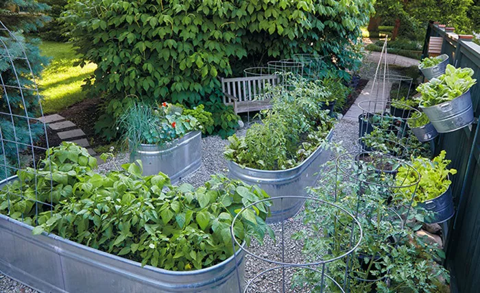 galvanized steel raised garden bed