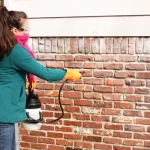 Remove Paint from Brick