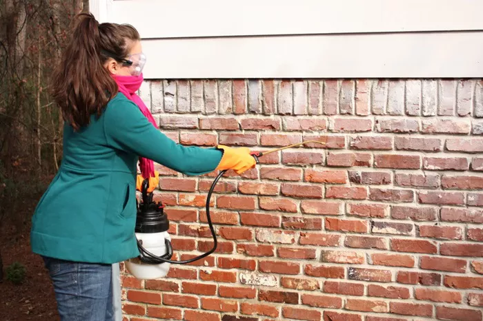 Remove Paint from Brick