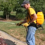 dewalt backpack sprayer