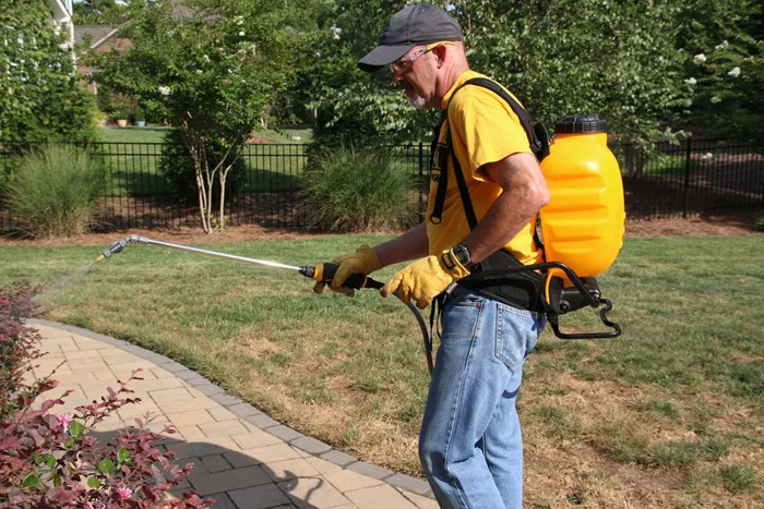 dewalt backpack sprayer