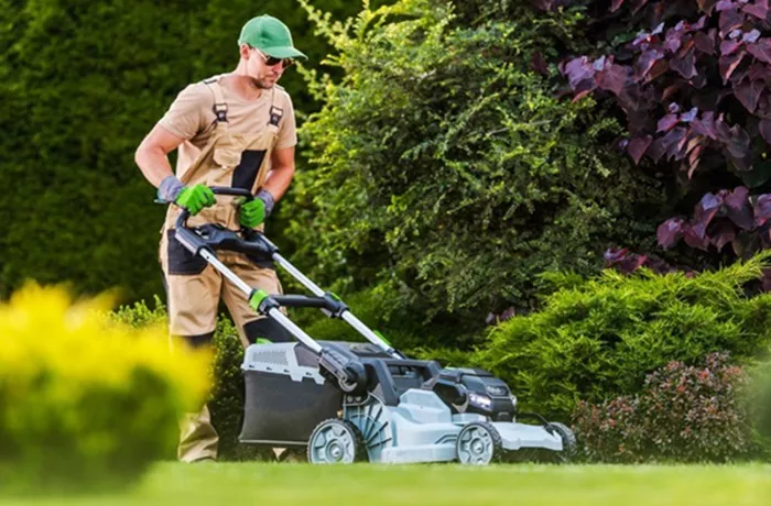 lowe's lawn mowers